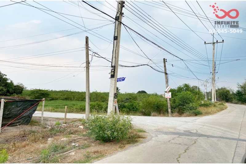 ขายที่ดิน 100 ตร.ว.ใกล้วัดเจดีย์หอย ถ.เลียบคลองใหญ่ ลาดหลุมแก้ว ปทุมธานี ใกล้วัดเจดีย์หอย