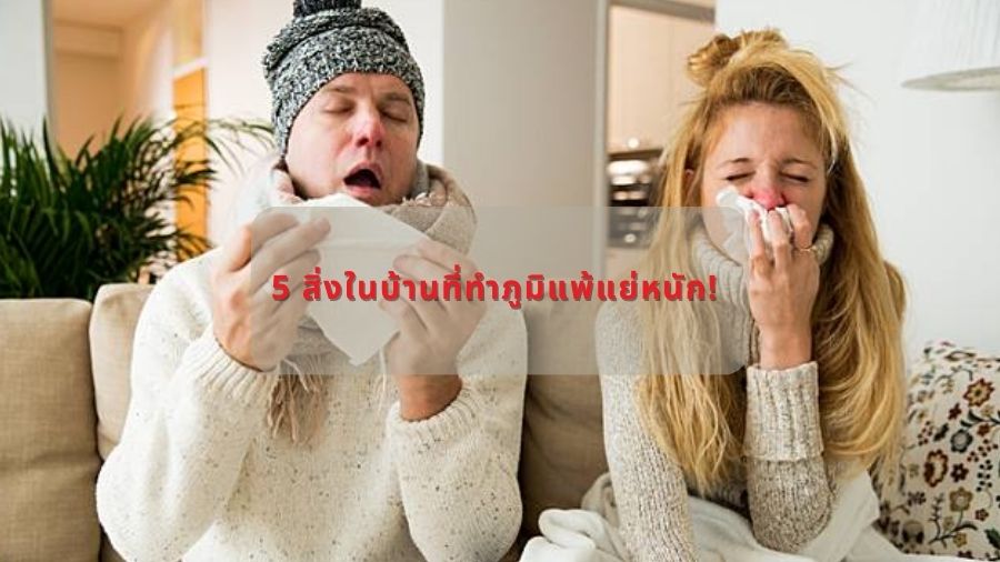 5 สิ่งในบ้านที่ทำภูมิแพ้แย่หนัก!