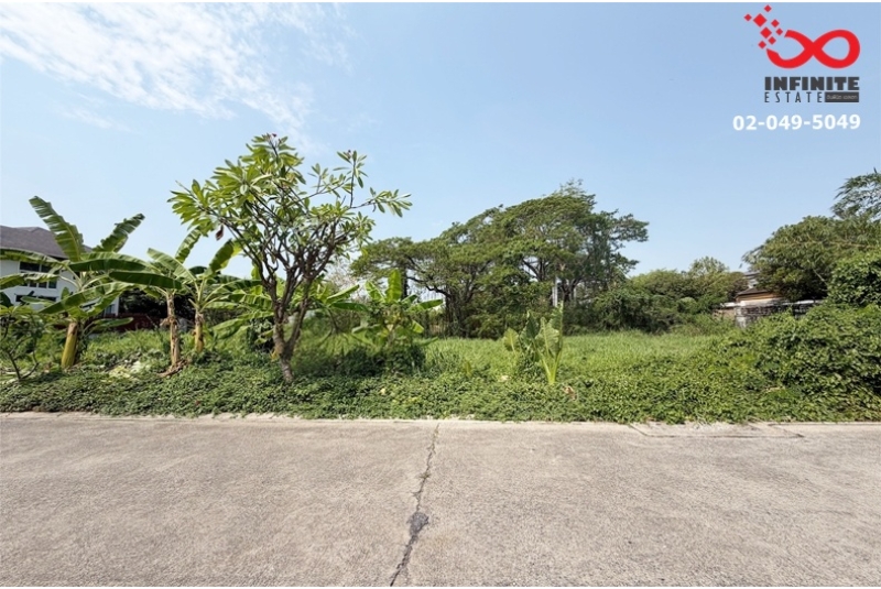 ขายที่ดิน 100 ตรว. ซอยนวมินทร์ 74 ถนนประเสริฐมนูกิจ รูปแปลงสวย ติดถนน