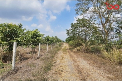 93238, ขายที่ดิน 367 ตร.วา คลอง 23 องครักษ์ นครนายก