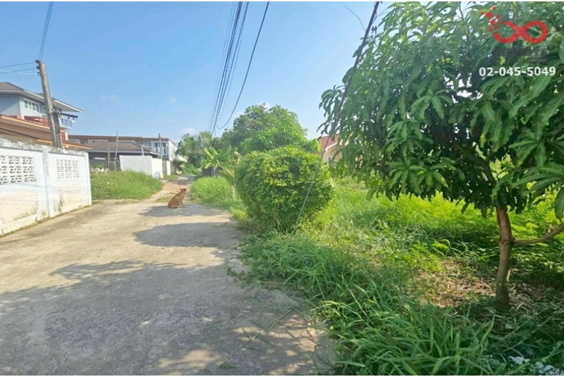 ขายที่ดินเปล่าถมแล้ว 50 ตร.ว. พหลโยธิน 54 - เพิ่มสิน สายไหม 