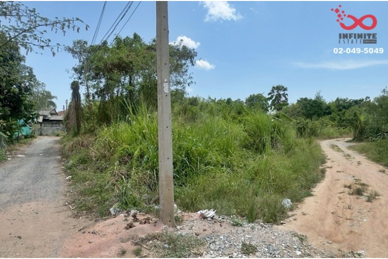 ขายที่ดินเปล่า 99 ตร.ว. ถนนค่ายลูกเสือ  บางพระ ศรีราชา ชลบุรี 