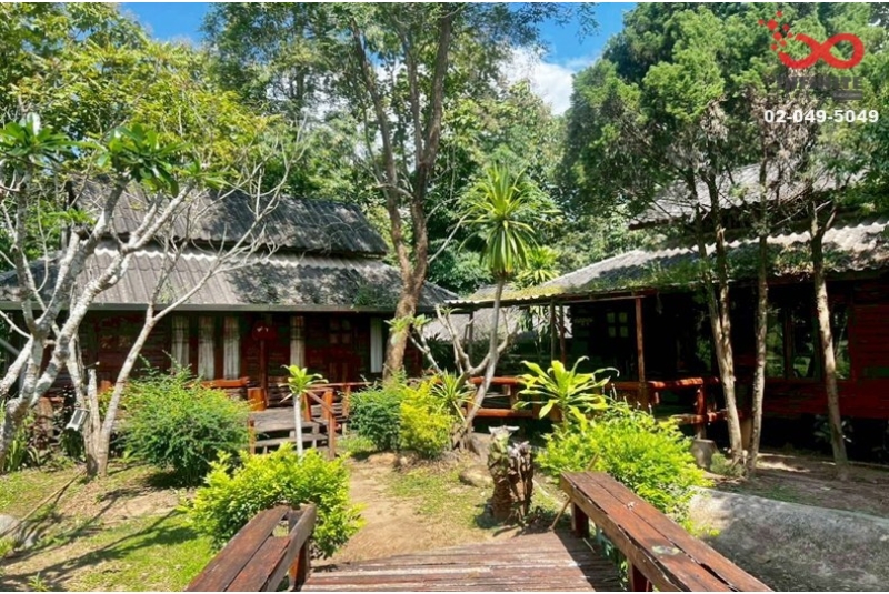 ขายรีสอร์ท ต.ทุ่งยาว อ.ปาย แม่ฮ่องสอน เนื้อที่ 4 ไร่เศษ พร้อมบ้านพักไม้สักทอง 5หลัง ใกล้แหล่งท่องเที่ยว
