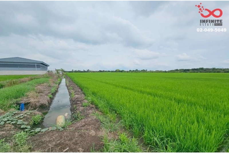 ขายที่ดิน 2-3-18 ไร่ สุวินทวงศ์ ใกล้ตลาดฉิน คลองหลวงแพ่ง ฉะเชิงเทรา