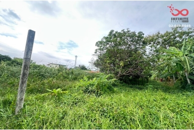 94000, ขายที่ดิน 43 ตร.ว. ซอยไทรม้า 8 ท่าอิฐ ปากเกร็ด นนทบุรี