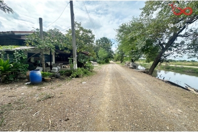 94018, ขายที่ดิน 200 ตร.ว. คลองสี่ คลองหลวง ปทุมธานี แปลงสวย ราคาดี