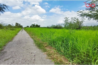 94047, ขายที่ดิน 3 ไร่ ลำลูกกา คลอง 12 ปทุมธานี ใกล้สนามกอล์ฟเรนวูดปาร์ค แปลงสวย 