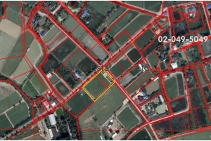 84183, ที่ดิน + บ่อกุ้ง 3 ไร่ 3 งาน 88 ตารางวา ตำบลบางกรูด อำเภอบ้านโพธิ์ จังหวัดฉะเชิงเทรา