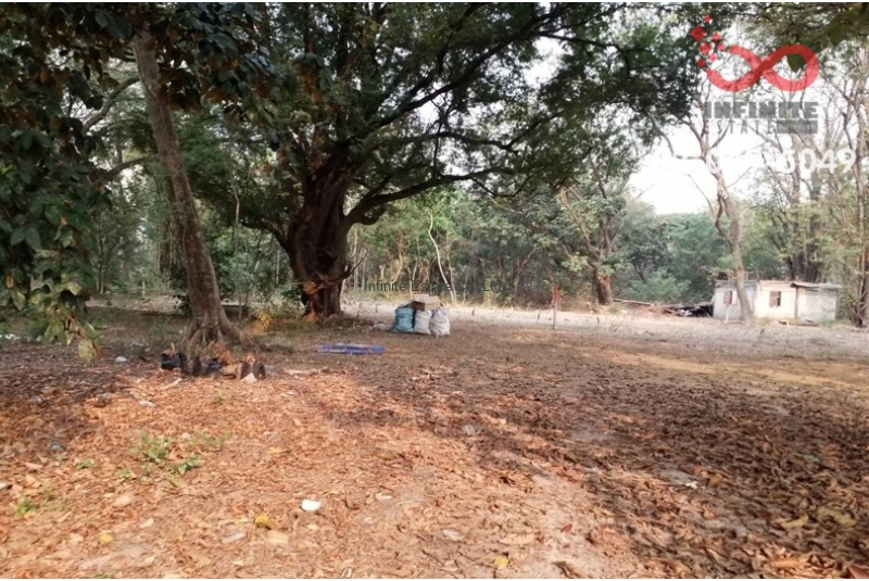 ที่ดินเปล่า 3 ไร่ 3 งาน 33.37 ตารางวา ซอยราชพฤกษ์ ถนนห้วยแก้ว