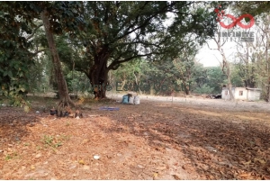 85048, ที่ดินเปล่า 3 ไร่ 3 งาน 33.37 ตารางวา ซอยราชพฤกษ์ ถนนห้วยแก้ว