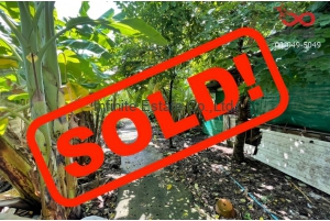 86094, ขายที่ดินเปล่า 85 ตารางวา ถนนโชคชัย 4 ซอย 18 ซอยหมู่บ้านมหาลาภ ใกล้รถไฟฟ้า MRT สายสีม่วง(สถานีลาดพร้าว)