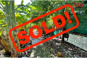 86096, ขายที่ดินเปล่า 170 ตารางวา ถนนโชคชัย 4 ซอย 18 ซอยหมู่บ้านมหาลาภ ใกล้รถไฟฟ้า MRT สายสีม่วง(สถานีลาดพร้าว)