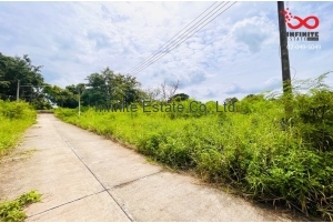 90062, ขายที่ดินเปล่า 539 ตารางวา มวกเหล็ก ซอยวัวยิ้ม ถนนมิตรภาพ