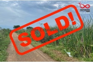 88026, ขายที่ดิน 1 ไร่ ถนนรังสิต-นครนายก ซอยสุภาวดี(คลองหกตะวันตก67) คลองหลวง