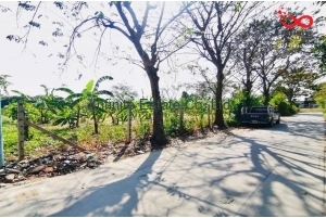 88003, ขายที่ดินเปล่าถมแล้ว 2 ไร่ 77 ตารางวา ซอยเพชรเกษม51 ถนนเพชรเกษม