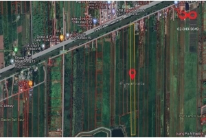 88666, ขายที่ดิน 24 ไร่ 54.3 ตารางวา องครักษ์ ถนนรังสิต-นครนายก