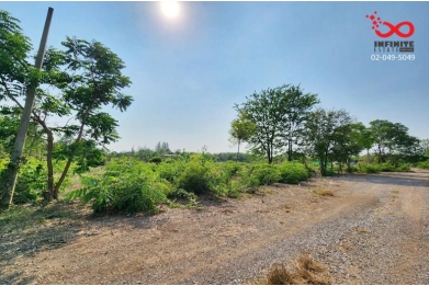 91010, ขายที่ดินเปล่า 4 แปลงติดกัน 2 ไร่ 2 ตารางวา อำเภอวังทอง พิษณุโลก