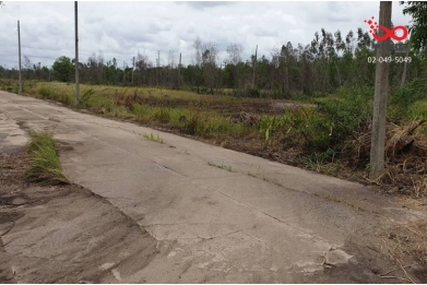 88880, ขายที่ดิน 100 ตารางวา อำเภอหนองเสือ ปทุมธานี