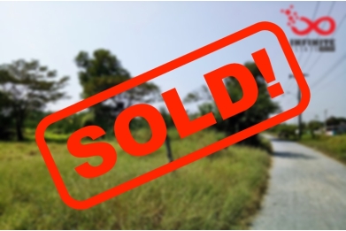 81362, ที่ดิน 3ไร่   ถนนราษฏร์อุทิศ 70 ซอยธำรงวินิจฉัย