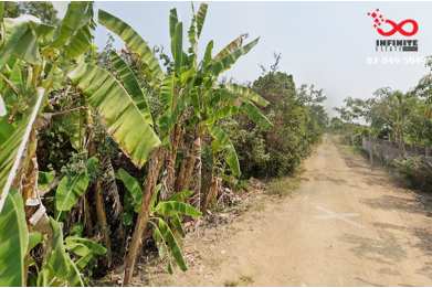 92555, ขายที่ดิน 194 ตร.วา ถนนประชาสำราญ ซอยเทวาพิทักษ์ หนองจอก