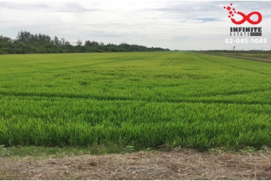 89545, ขายที่ดิน 45 ไร่ 2 งาน 77 ตารางวา ถนนรังสิต-นครนายก 