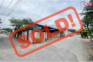 89796, ขายที่ดินเปล่า ถมแล้ว 95 ตารางวา ซอยลาดพร้าว 80 แยก 14 ถนนลาดพร้าว 