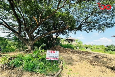 92252, ขายที่ดิน 264ตร.ว. ติดถนน  ท่าช้าง นครหลวง อยุธยา 