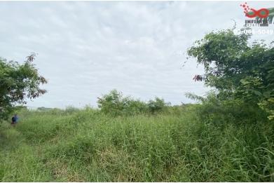 90333, ขายที่ดินเปล่า 100 ตารางวา ซอยสุขาภิบาล 2 ซอย 6 ถนนสุขาภิบาล 2