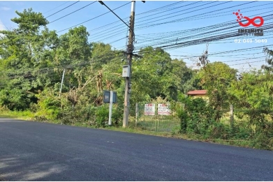 90176, ขายที่ดิน 1 ไร่ 2 งาน อำเภอนครหลวง ติดแม่น้ำป่าสัก พระนครศรีอยุธยา 