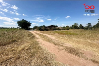 89966, ขายที่ดิน 50 ไร่ อำเภอสีคิ้ว นครราชสีมา 