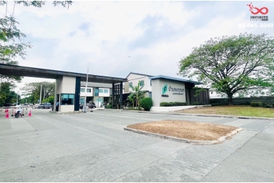 90687, ขายทาวน์เฮาส์ 2 ชั้น  17.4 ตารางวา  พฤกษา 130 หนองจอก-สุวินทวงศ์ ซอยอยู่วิทยา 12 ถนนอยู่วิทยา  