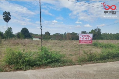 91036, ขายที่ดิน 3 ไร่ 2 งาน 87 ตารางวา ตำบลสระทะเล อำเภอพยุหะคีรี นครสวรรค์