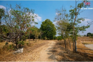 91038, ขายที่ดิน 29 ไร่ 93 ตารางวา เนินมะกอก พยุหะคีรี นครสวรรค์ 