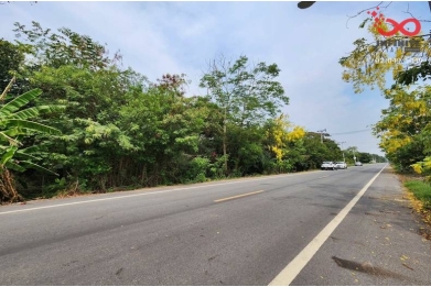 93835, ขายที่ดิน 44 ไร่เศษ ถนนเลียบคลอง 11 หนองเสือ ปทุมธานี