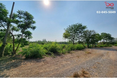 91165, ขายที่ดินเปล่า 2 แปลงติดกัน 1 ไร่ 2 ตารางวา  อำเภอวังทอง พิษณุโลก