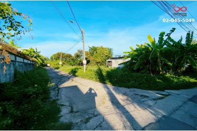91191, ขายที่ดิน 50 ตารางวา ซอยสุขทวี 17 ถนนบรมราชชนี ตลิ่งชัน 