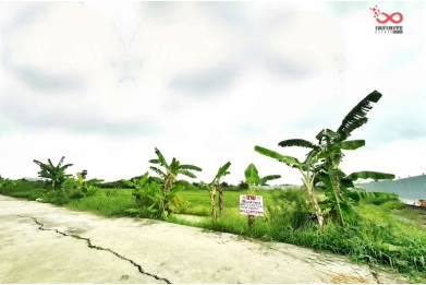 90897, ขายที่ดินเปล่า 1ไร่ 3งาน 58.5ตารางวา ตำบลหนองเพรางาย นนทบุรี 