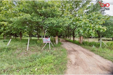 91559, ขายบ้านเดี่ยว 1 ชั้น บ้านสวนวังไทร พร้อมที่ดิน 5 ไร่ 84 ตร.วา ติดคลอง ปากช่อง ใกล้เขาใหญ่ ทำเลวิวธรรมชาติ