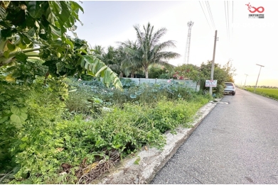 91753, ขายที่ดิน 96ตร.วา ถนนเทพราช-ลาดกระบัง ใกล้ ABAC มอร์เตอร์เวย์