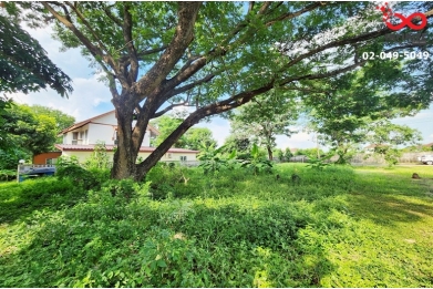 92007, ขายที่ดินถมแล้ว 122 ตรว.รังสิต–นครนายก ธัญบุรี สารินปาร์ค