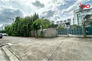 92173, ขายบ้านเดี่ยว 439ตร.วา พระโขนง สุขุมวิท 64 ใกล้ทางด่วน รถไฟฟ้า BTS ปุณณวิถี