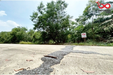 92077, ขายที่ดินหมู่บ้านสวนศรีปทุม เนื้อที่ 63 ตารางวา หนองเสือ ปทุมธานี 