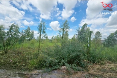 92154, ขายที่ดินถมแล้ว 216 ตร.ว. รังสิต–นครนายก 31