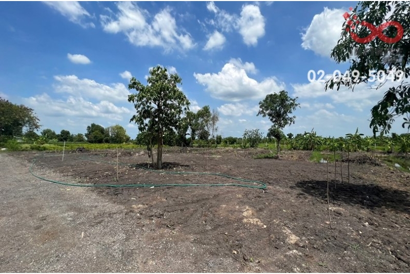 ขายที่ดิน 1 ไร่ ถนนเลียบคลอง 12 หนองเสือ ปทุมธานี 