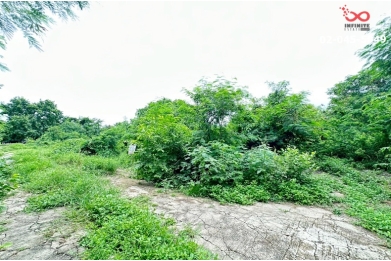 92257, ขายที่ดิน 61ตรว.คลองพระราชาพิมล วัดลาดปลาดุก บางใหญ่ บางบัวทอง นนทบุรี 