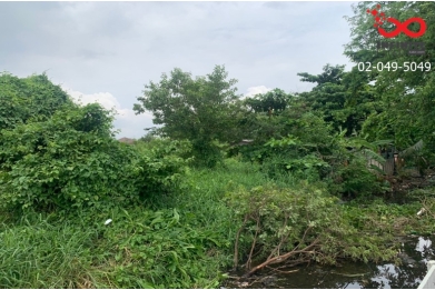 92688, ขายที่ดิน 50 ตรว.ซ.หทัยราษฎร์ 5 ถนนหทัยราษฎร์ คลองสามวา ขายถูก