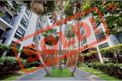 92870, ขายคอนโด ไอคอนโด สุขุมวิท 105 วิวสวน ชั้น1 30ตรม. เฟอร์นิเจอร์ครบ