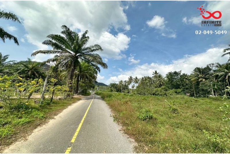 ขายที่ดินเปล่า 5 ไร่ 21 ตรว.อ่าวนาง อ.เมืองกระบี่ ถนนหนองทะเล