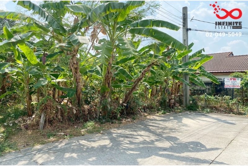 ขายที่ดิน 103ตรว.หมู่บ้านชลลดา บางบัวทอง เท่าราคาประเมิน ถมแล้ว 