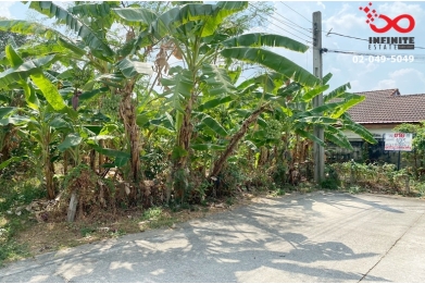 92946, ขายที่ดิน 103ตรว.หมู่บ้านชลลดา บางบัวทอง เท่าราคาประเมิน ถมแล้ว 